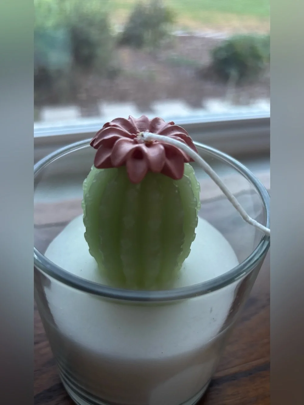 Wild Prickly Pear Jar Candle - White Wax with Pale Green Cactus